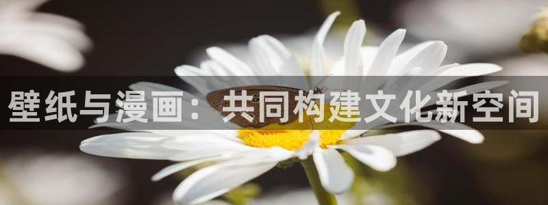 bl漫画短篇：壁纸与漫画：共同构建文化新空间